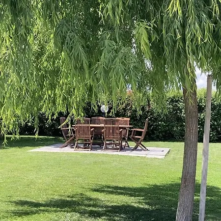 Al35 Guests * سافيغليانو